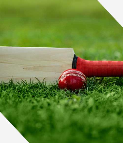 1-1-services 1-1-services